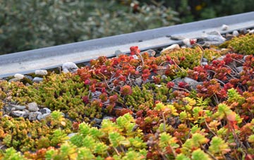 the cost of Stisted green roof installation